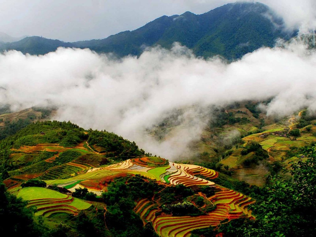 Discovery North of Viet Nam